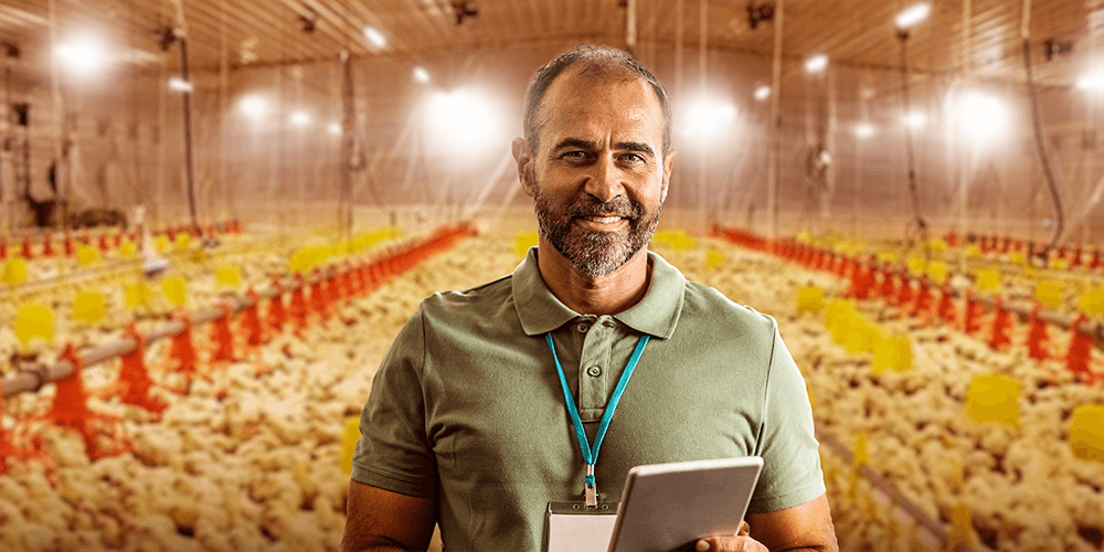 Bem-estar dos trabalhadores